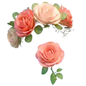 Rose Wreath TikTok gift