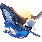 Seal and Whale gift
