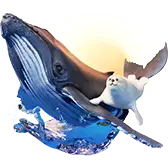 Seal and Whale