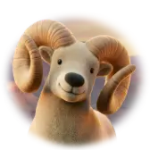 Canyon Bighorn TikTok gift