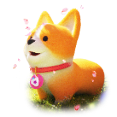 Sakura Corgi gift
