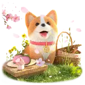 Cooper Picnic
