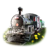 Romanian train TikTok gift