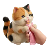 Cat in the Park TikTok gift