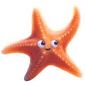 Starfish TikTok gift