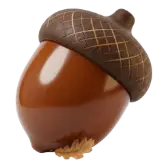 Little Acorn TikTok gift