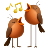 Melodic birds gift