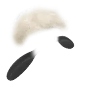 Shaun's head
