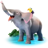 Ellie the Elephant TikTok gift