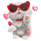 Kitten Kneading gift