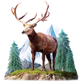 Carpathian Deer