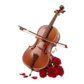 Cello Romance gift