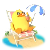 Summer Vibes