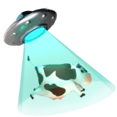 Cow-napping TikTok gift