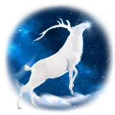 Star Hunting TikTok gift