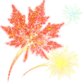 Maple Fireworks TikTok gift
