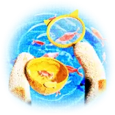 Goldfish Scooping