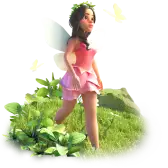Forest Fairy