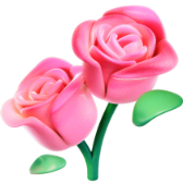My First Rose gift