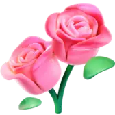 My First Rose