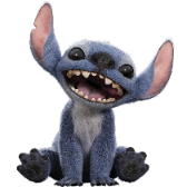Stitch gift
