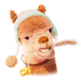 Alpaca