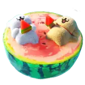 Watermelon Holiday