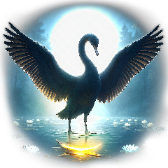 Black Swan gift