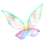 Colorful Wings gift
