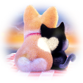Love in Sunset gift