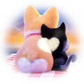 Love in Sunset