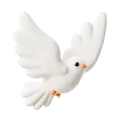 White Dove