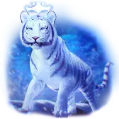 Amethyst Tiger TikTok gift
