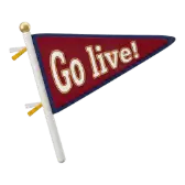Go Live! TikTok gift