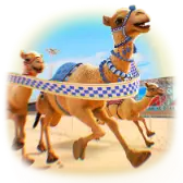 Desert Glory