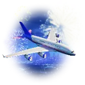 TikTok Flight