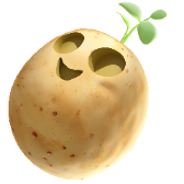 Potato Transformation gift