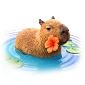 Capybara Swim TikTok gift