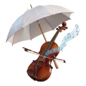Chopin in the Rain gift