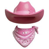 Pink Cowboy gift