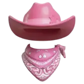 Pink Cowboy TikTok gift