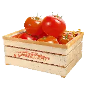 Juicy Tomato