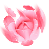 Flower Show gift