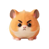 Hamster frowning
