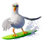 Surfing seagull