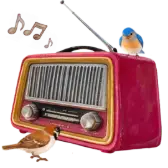A Garden Yonder TikTok gift