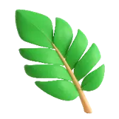 Palm Leaf
