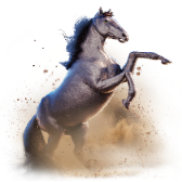 Go Big Stallion gift