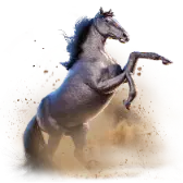 Go Big Stallion