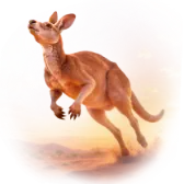 Kangaroo TikTok gift